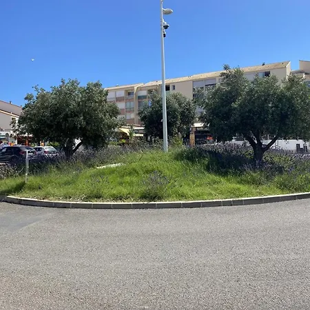 Appartement, Animaux Admis - 4 Pers, Proche - Fr-1-874-39 * Le Grau-du-Roi